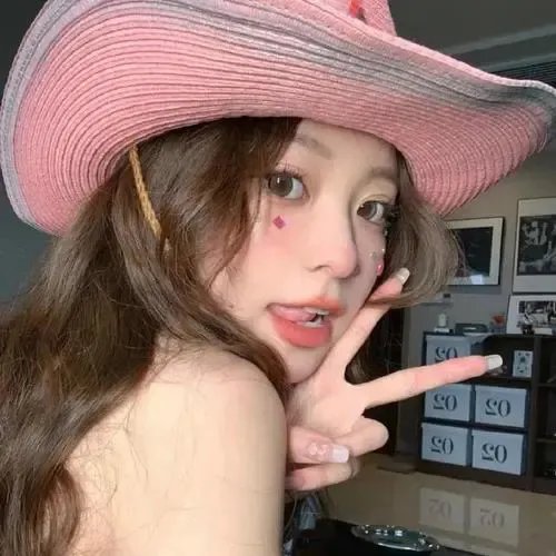 关于诺斯特拉达穆斯