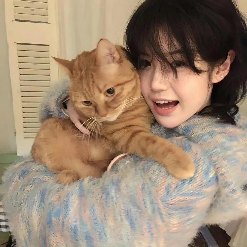 布加勒斯特现场：危险之旅巡回演唱会